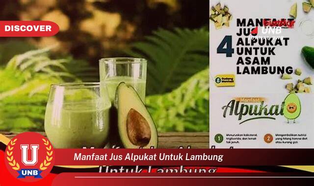 Temukan 10 Manfaat Jus Alpukat untuk Lambung,  Solusi Alami untuk Kesehatan Pencernaan Anda