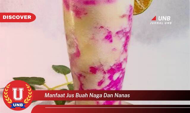 Ketahui 10 Manfaat manfaat jus buah naga dan nanas yang Jarang Diketahui