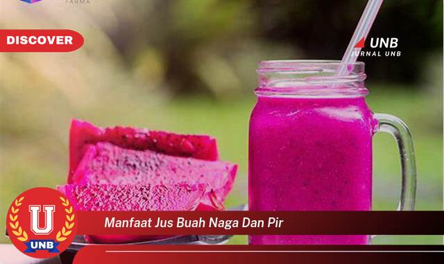 9 Manfaat manfaat jus buah naga dan pir yang tidak Semua Orang Tau