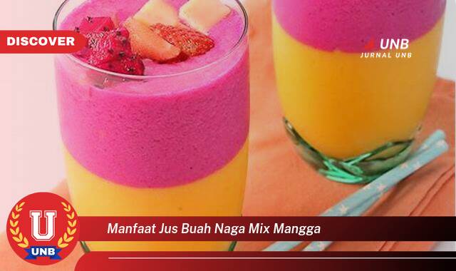 Temukan 10 Manfaat manfaat jus buah naga mix mangga yang tidak Semua Orang Tau