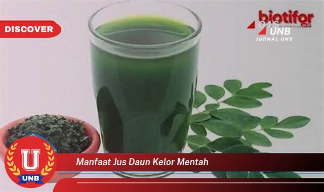 Temukan 10 Manfaat Jus Daun Kelor Mentah untuk Kesehatan Tubuh Anda