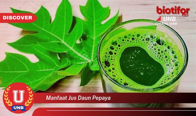 Temukan 9 Manfaat Jus Daun Pepaya untuk Kesehatan Anda, Dari Demam Berdarah Hingga Pencernaan Temukan 9 Manfaat Jus Daun Pepaya untuk Kesehatan Anda, Dari Demam Berdarah Hingga Pencernaan