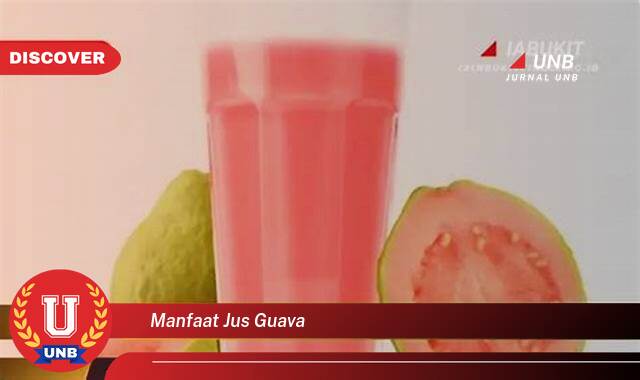 Inilah 10 Manfaat manfaat jus guava yang Wajib Kamu Intip