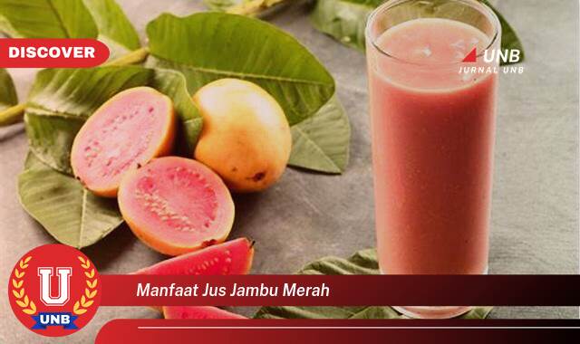 Temukan 9 Manfaat Jus Jambu Merah untuk Kesehatan Tubuh Anda Temukan 9 Manfaat Jus Jambu Merah untuk Kesehatan Tubuh Anda