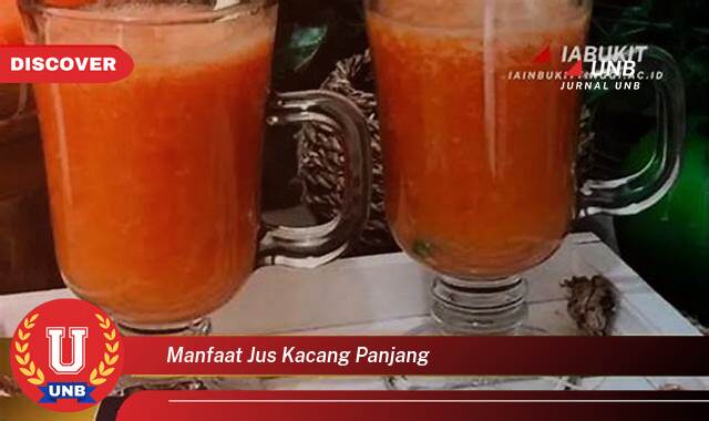 Ketahui 8 Manfaat manfaat jus kacang panjang yang Jarang Diketahui