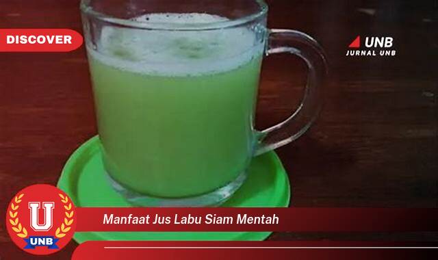 Temukan 10 Manfaat Jus Labu Siam Mentah untuk Menurunkan Berat Badan dan Kesehatan Tubuh Anda