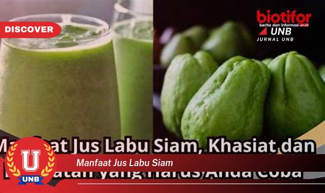 Temukan 9 Manfaat Jus Labu Siam untuk Menurunkan Berat Badan dan Meningkatkan Kesehatan