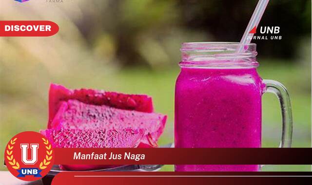 Temukan 10 Manfaat Jus Naga untuk Kesehatan Tubuh Anda Temukan 10 Manfaat Jus Naga untuk Kesehatan Tubuh Anda