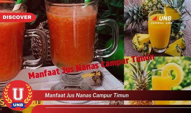 10 Manfaat manfaat jus nanas campur timun yang Wajib kamu ketahui