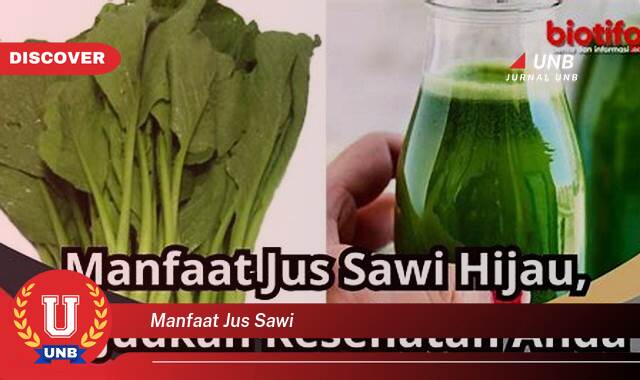 Inilah 9 Manfaat manfaat jus sawi yang Bikin Kamu Penasaran