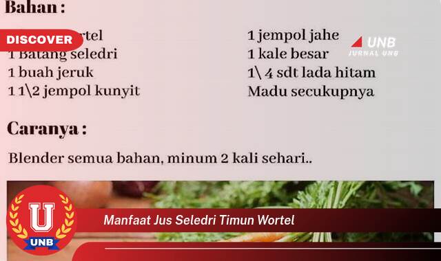 9 Manfaat manfaat jus seledri timun wortel yang Wajib Kamu Intip