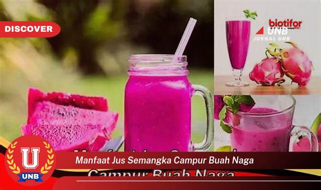Temukan 9 Manfaat manfaat jus semangka campur buah naga yang Wajib Kamu Intip