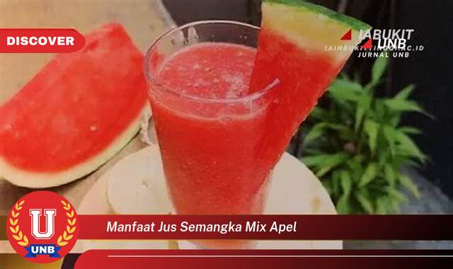 Ketahui 8 Manfaat manfaat jus semangka mix apel yang Wajib Kamu Intip