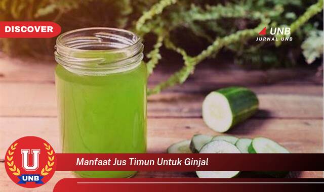 Inilah 10 Manfaat manfaat jus timun untuk ginjal yang Jarang Diketahui