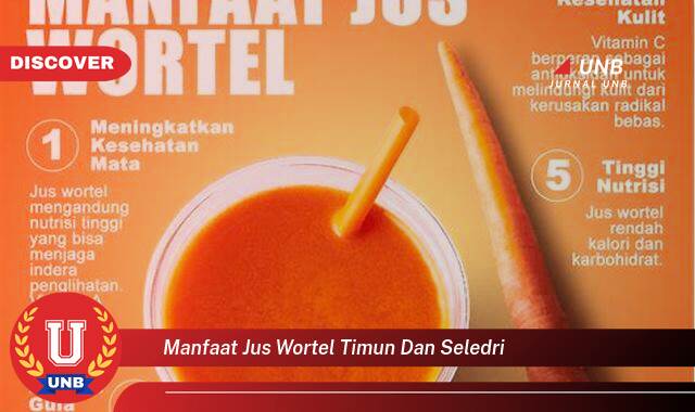 Inilah 10 Manfaat manfaat jus wortel timun dan seledri yang Wajib Kamu Intip