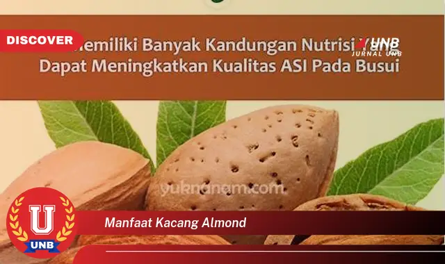 manfaat kacang almond