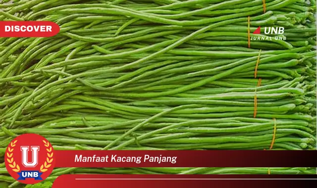 manfaat kacang panjang