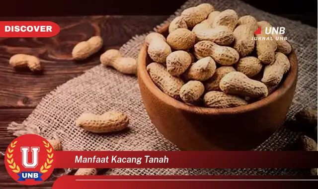 manfaat kacang tanah