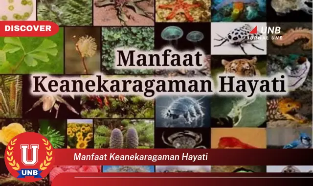 manfaat keanekaragaman hayati