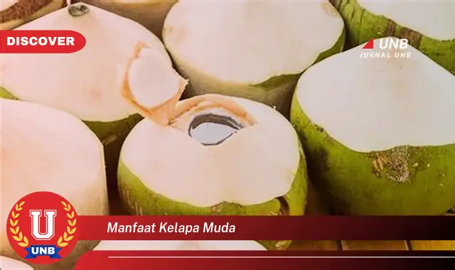 manfaat kelapa muda