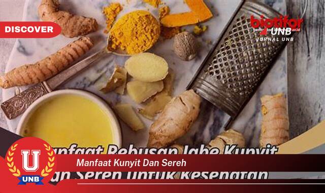 Inilah 8 Manfaat Kunyit dan Sereh yang Wajib Kamu Ketahui