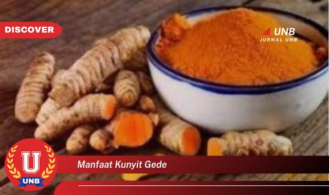 Inilah 9 Manfaat manfaat kunyit gede yang tidak Semua Orang Tau