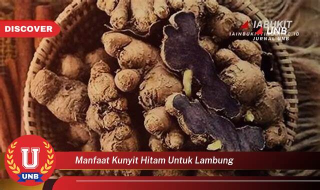 Ketahui 8 Manfaat Kunyit Hitam untuk Lambung yang Tak Semua Orang Tahu