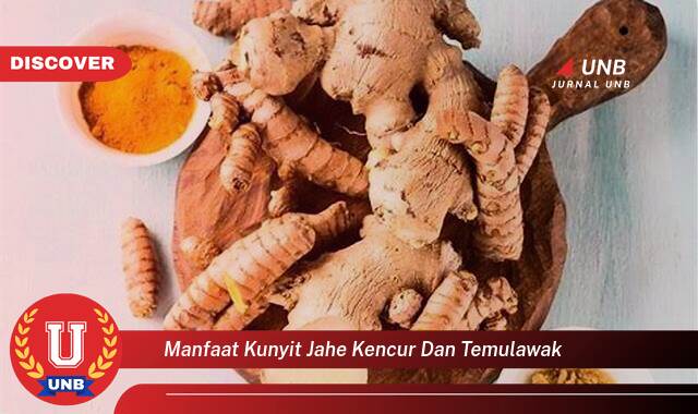 9 Manfaat Kunyit Jahe Kencur dan Temulawak yang Bikin Kamu Penasaran