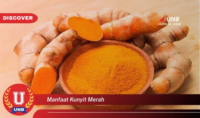 8 Manfaat manfaat kunyit merah yang Wajib kamu ketahui