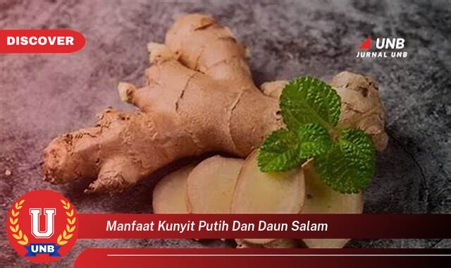 Ketahui 8 Manfaat manfaat kunyit putih dan daun salam yang tidak Semua Orang Tau