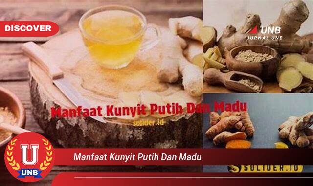 Inilah 10 Manfaat manfaat kunyit putih dan madu yang Wajib kamu ketahui