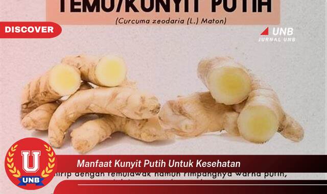 Temukan 8 Manfaat Kunyit Putih untuk Kesehatan, 10 Khasiat Luar Biasa yang Harus Anda Ketahui Temukan 8 Manfaat Kunyit Putih untuk Kesehatan, 10 Khasiat Luar Biasa yang Harus Anda Ketahui