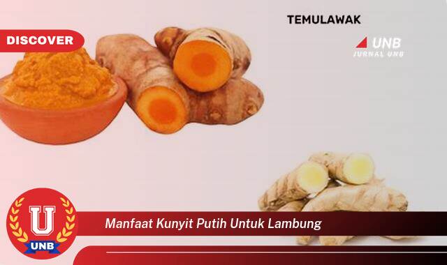 Temukan 9 Manfaat Kunyit Putih untuk Lambung, Solusi Alami Atasi Maag, Mual, dan Masalah Pencernaan