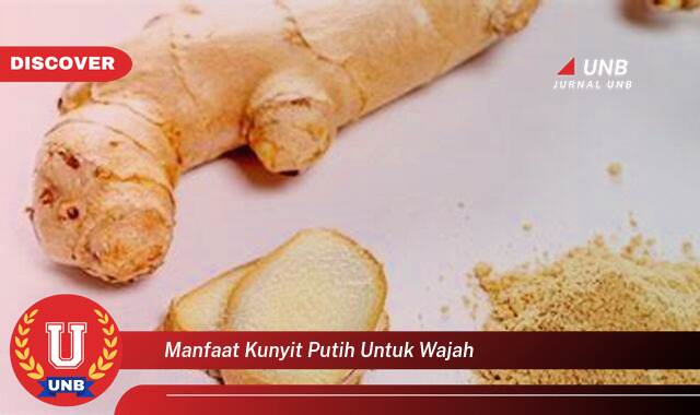 Inilah 8 Manfaat Kunyit Putih untuk Wajah yang Wajib Kamu Ketahui