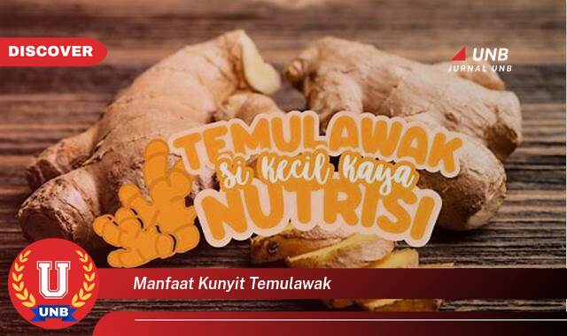 Temukan 8 Manfaat Kunyit Temulawak untuk Kesehatan Tubuh Anda Secara Alami