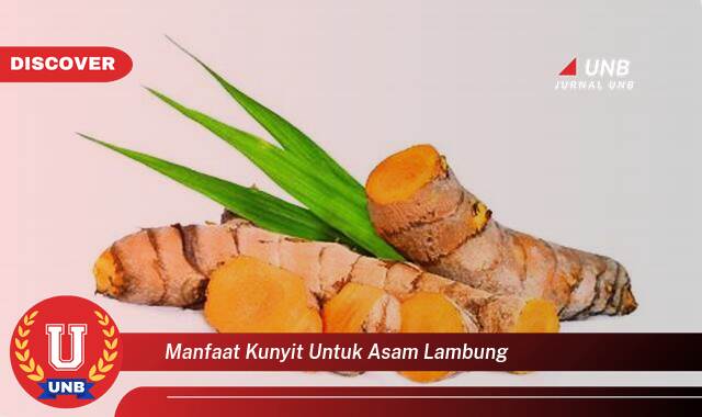 Temukan 10 Manfaat Kunyit untuk Asam Lambung, Redakan Maag dan Gangguan Pencernaan Secara Alami