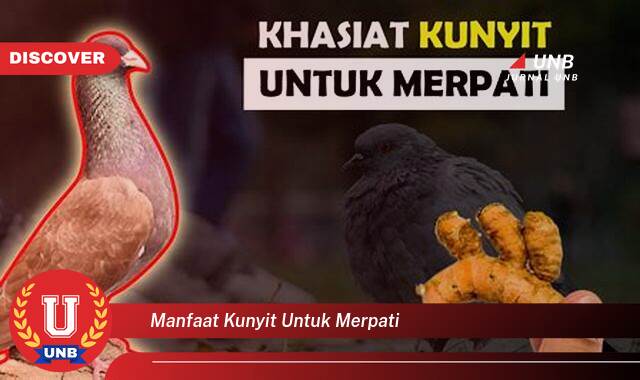 Temukan 8 Manfaat Kunyit untuk Merpati, Tips Praktis dan Dosis yang Tepat