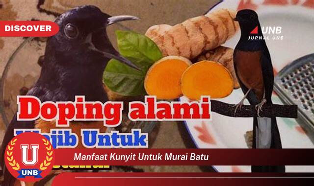 Temukan 10 Manfaat manfaat kunyit untuk murai batu yang Bikin Kamu Penasaran