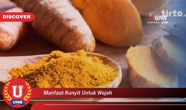 Temukan 9 Manfaat Kunyit Untuk Wajah, Rahasia Kulit Cerah dan Sehat Alami Temukan 9 Manfaat Kunyit Untuk Wajah, Rahasia Kulit Cerah dan Sehat Alami