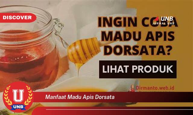 Inilah 10 Manfaat manfaat madu apis dorsata yang Jarang Diketahui