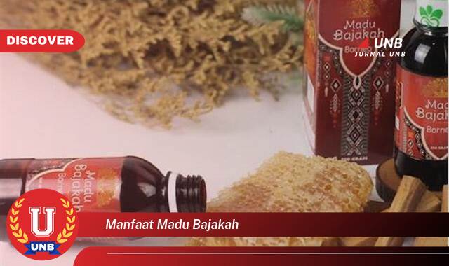 Temukan 10 Manfaat Madu Bajakah untuk Kesehatan Tubuh Anda