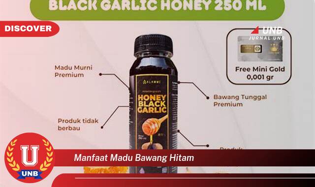 8 Manfaat manfaat madu bawang hitam yang tidak Semua Orang Tau