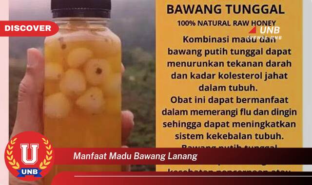 Temukan 10 Manfaat Madu Bawang Lanang untuk Kesehatan dan Vitalitas Pria