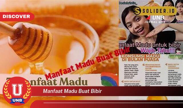 Inilah 10 Manfaat manfaat madu buat bibir yang Bikin Kamu Penasaran