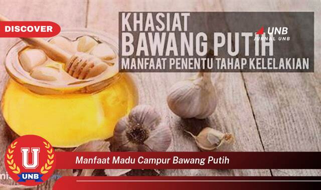 Inilah 9 Manfaat manfaat madu campur bawang putih yang Bikin Kamu Penasaran