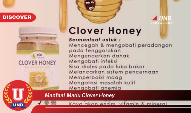 Temukan 9 Manfaat Madu Clover Honey untuk Kesehatan dan Kecantikan