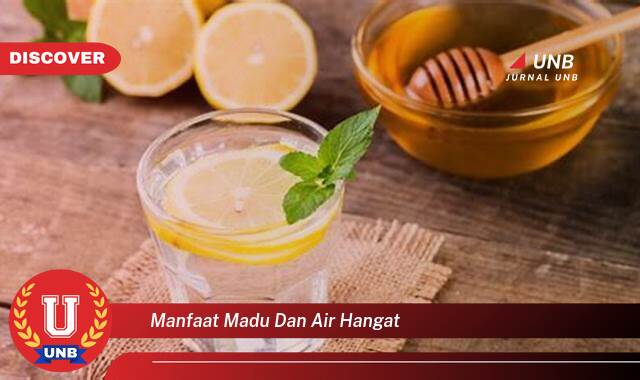 Ketahui 9 Manfaat Madu dan Air Hangat yang Wajib Kamu Ketahui Ketahui 9 Manfaat Madu dan Air Hangat yang Wajib Kamu Ketahui