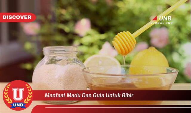 Inilah 10 Manfaat manfaat madu dan gula untuk bibir yang Wajib kamu ketahui