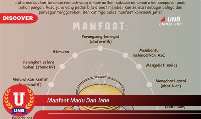 8 Manfaat manfaat madu dan jahe yang tidak Semua Orang Tau