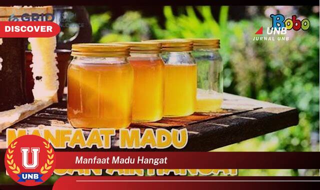 Ketahui 10 Manfaat manfaat madu hangat yang Wajib kamu ketahui